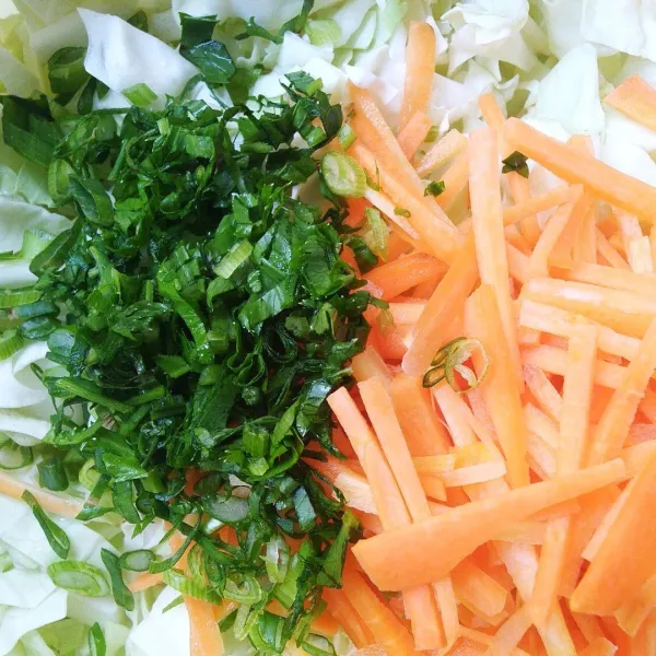 Masukkan kol, wortel, dan daun bawang ke dalam wadah.