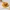 Chicken & Waffles
