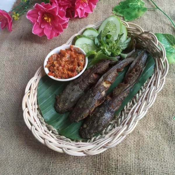 Tata lele dipiring saji lalu tambahkan sambal. Siap untuk disajikan lauk.