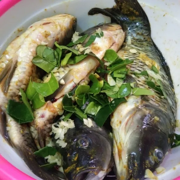 Tambahkan bawang putih cincang dan daun jeruk diamkan minimal 1 jam supaya bumbu meresap pada ikan.
