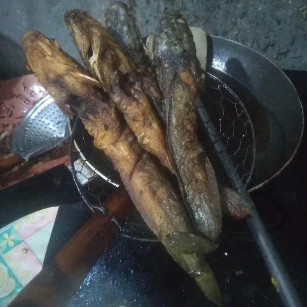 Panaskan minyak lalu masukkan tepung beras. Masukkan ikan lele, goreng hingga garing dan matang. Angkat dan tiriskan.