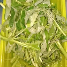 Petiki kangkung cuci bersih dan tiriskan.