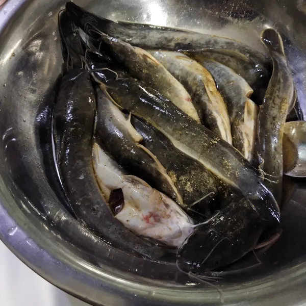 Cuci bersih ikan lele dan lumuri dengan garam secukupnya.