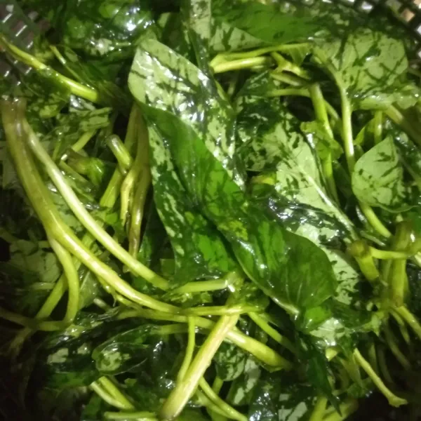 Cuci bersih kangkung.