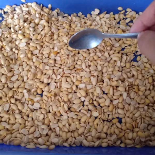 Setelah dingin dan kedelai agak lembab, taburi ragi lalu aduk rata.