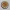 Dimsum Ayam Premium