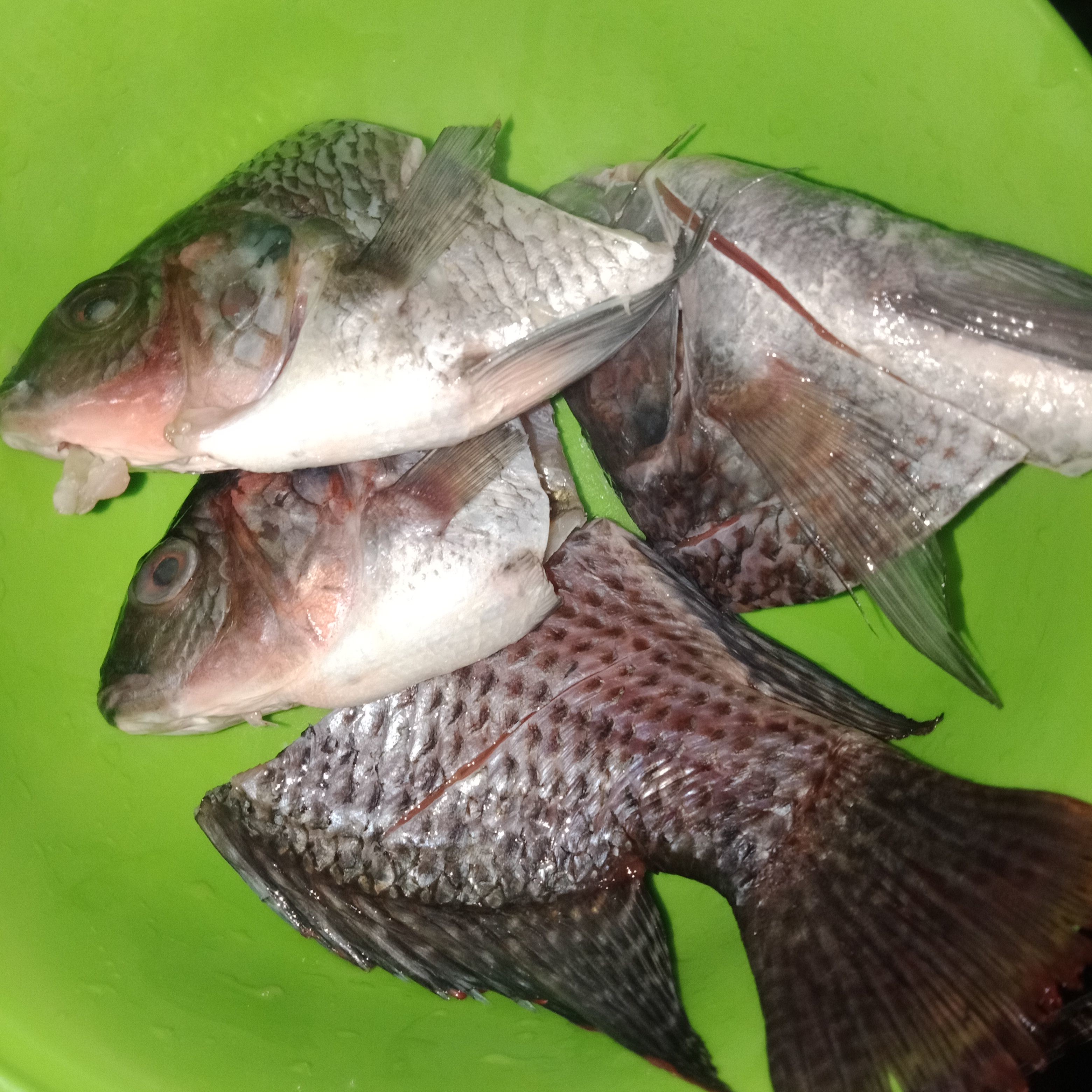 Langkah 1