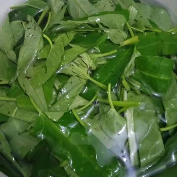 Cuci bersih kangkung, kemudian rendam dengan air garam selama 30 menit. Buang airnya dan tiriskan.