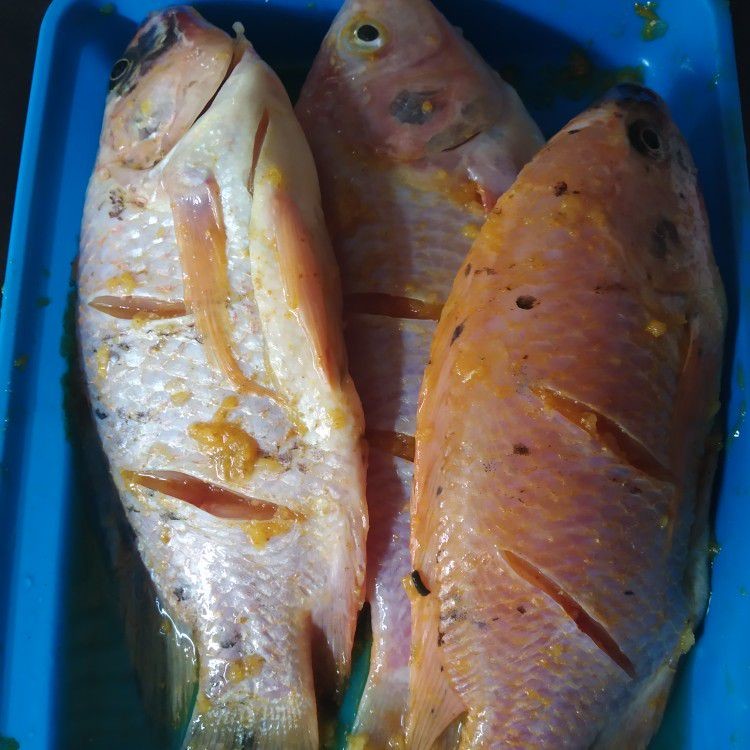 Langkah 1