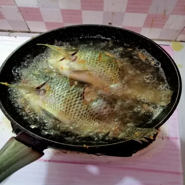 Goreng ikan di minyak panas hingga kering.