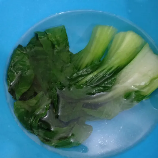 Angkat lalu masukkan ke dalam air es .