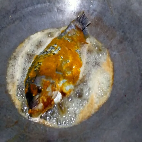 Keluarkan ikan dari kulkas, panaskan minyak goreng. Goreng gurame setengah matang, sisihkan dan tiriskan minyak.