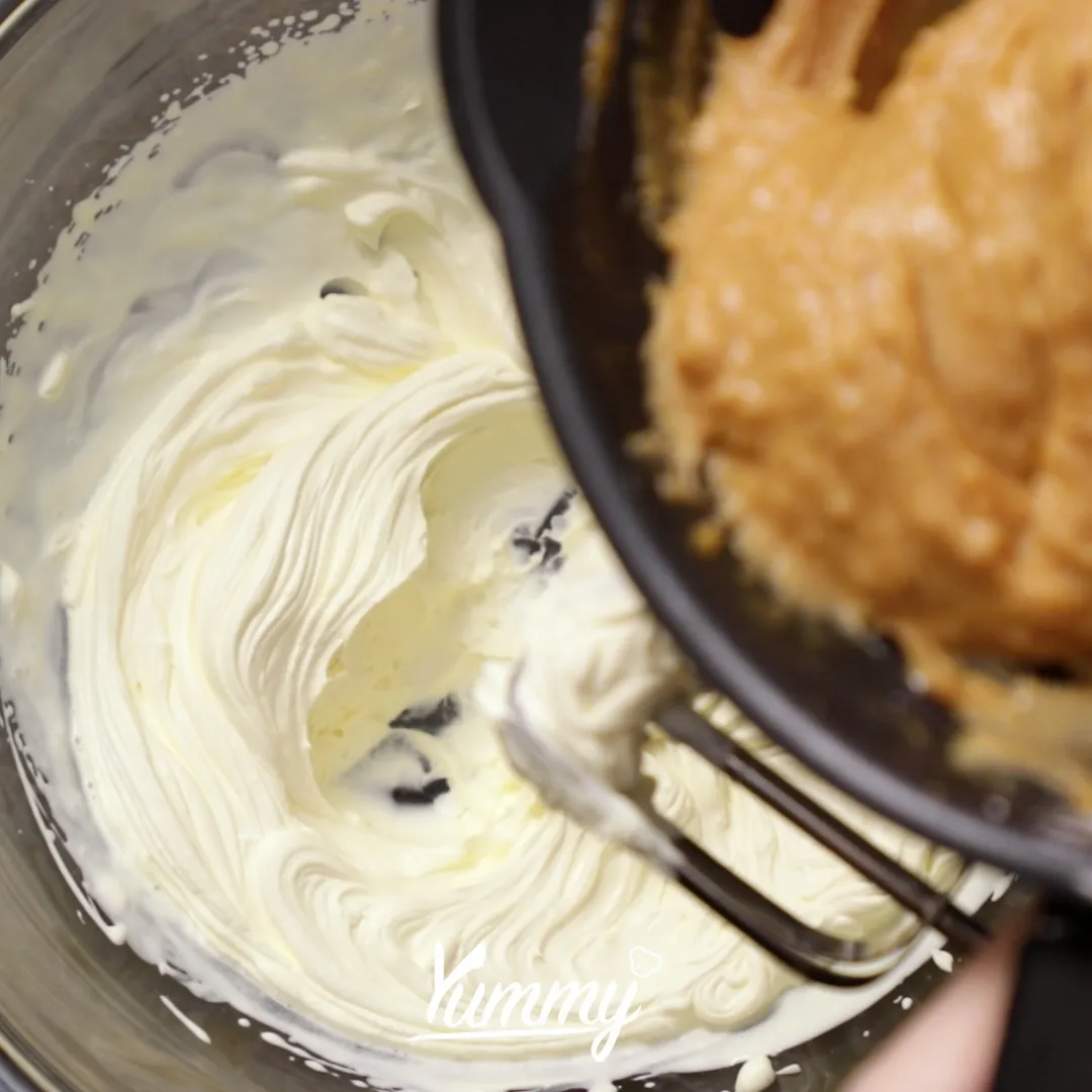 Step 4 Diplomat Cream Spekulas