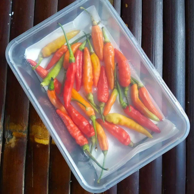 Tips Menyimpan Cabe Agar Tahan Lama #TipsAndalan
