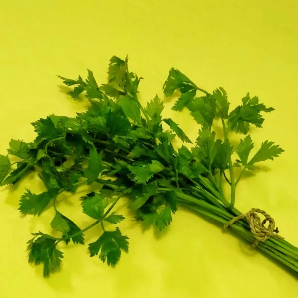 Siap digunakan kapanpun.