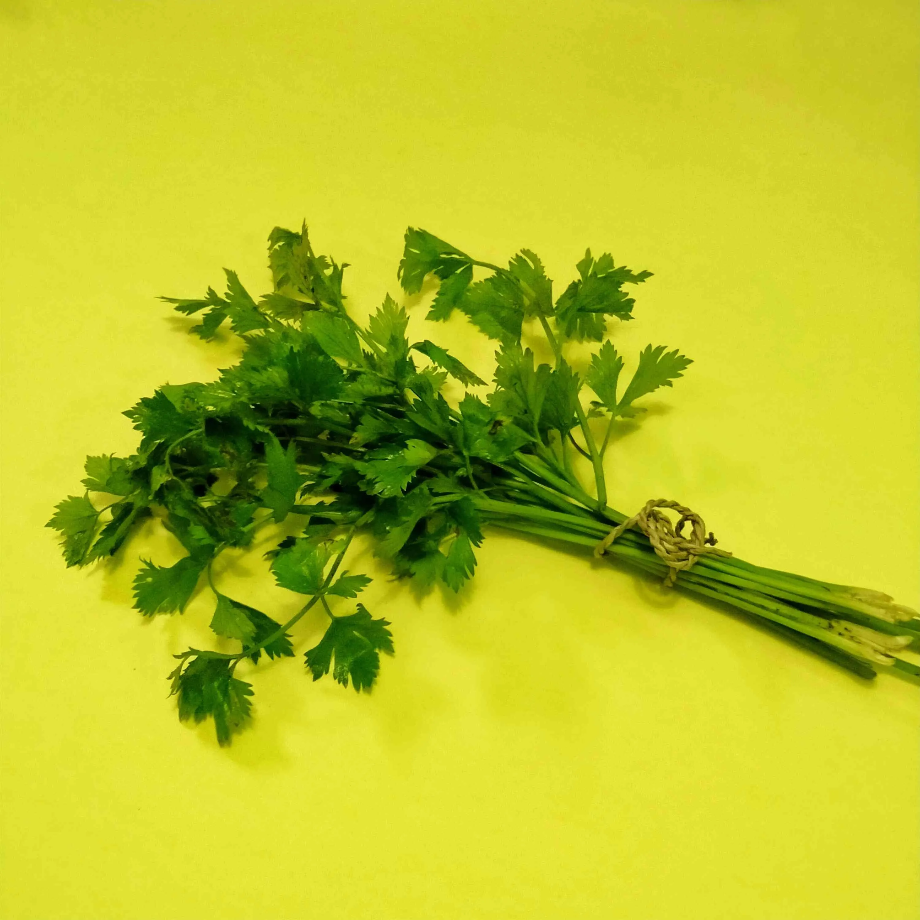 Tips Menyimpan Daun Seledri #TipsAndalan