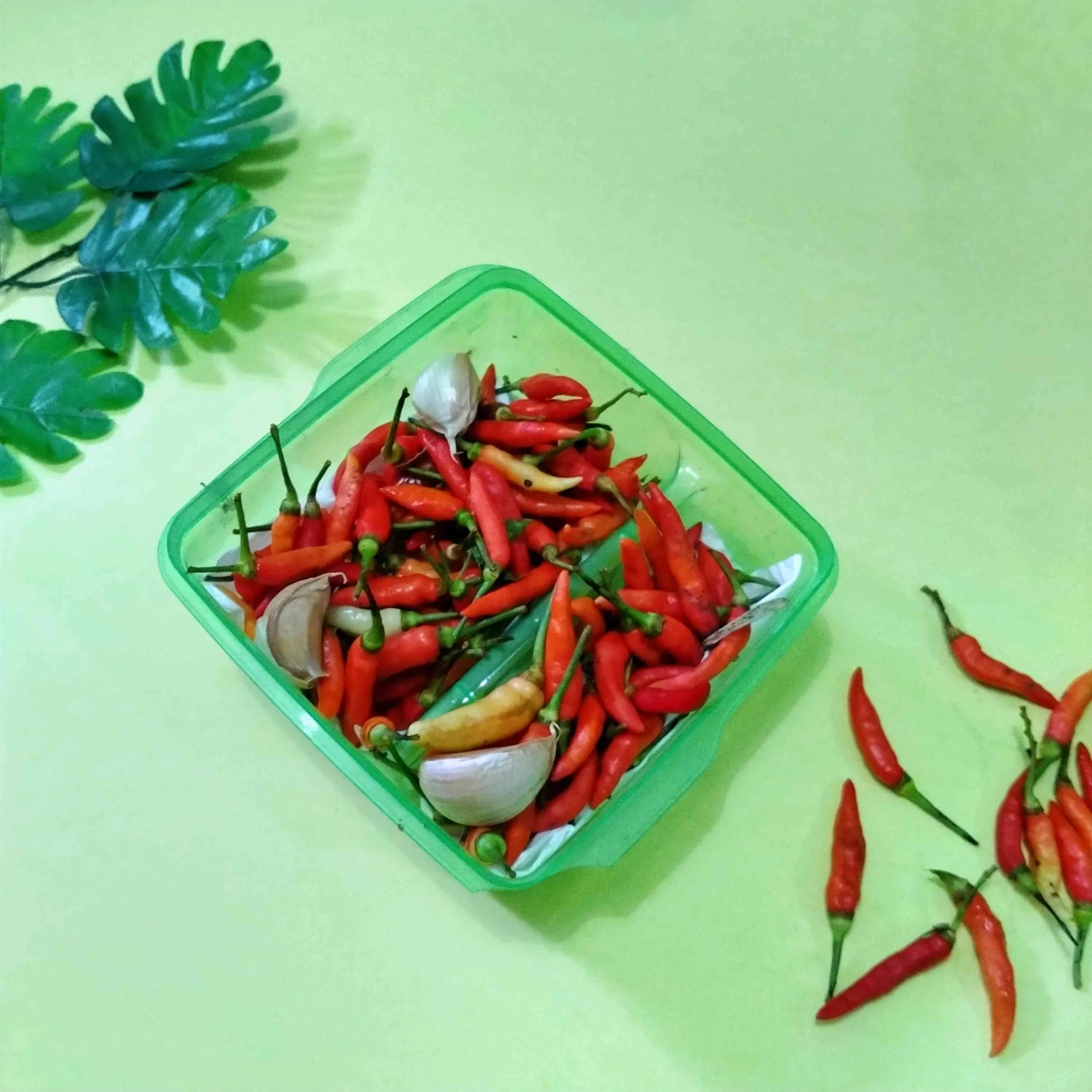 Tips Menyimpan Cabe Rawit #TipsAndalan