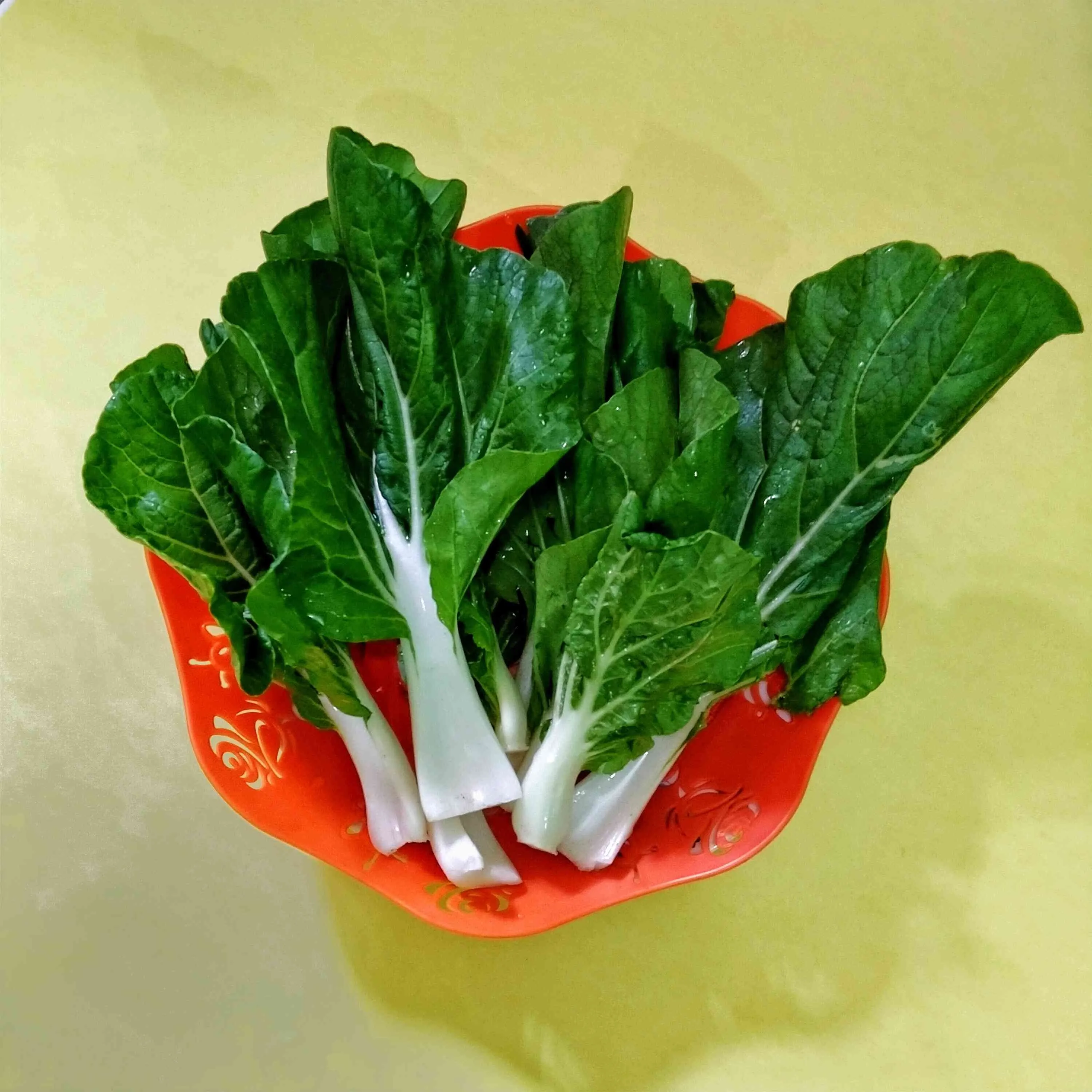 Tips Mencuci Sayur Pakcoy #TipsAndalan