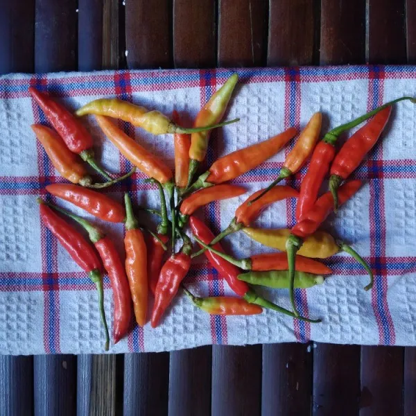 Letakkan cabe diatas lap kain, seka sisa-sisa air yang ada hingga cabe benar-benar kering.