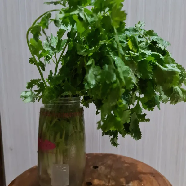 Cuci daun ketumbar. Masukkan air bersih ke dalam botol. Lalu masukkan akar bawah daun ketumbar.