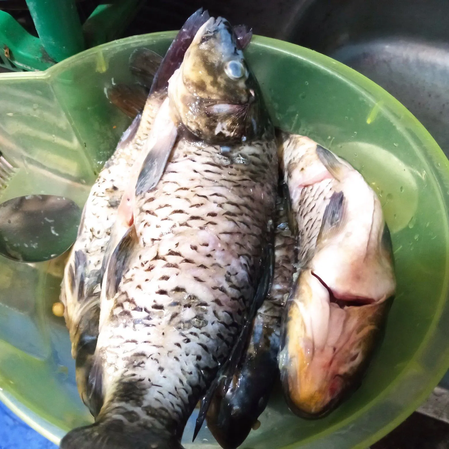 Step 1 Pindang Ikan Mas Presto