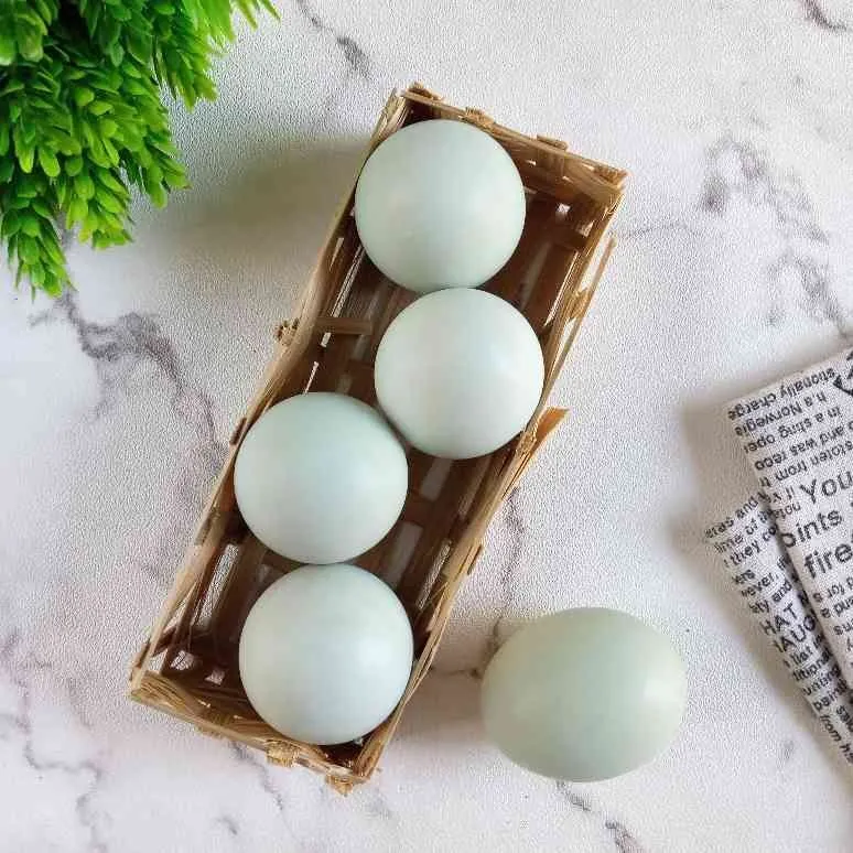Cara Menyimpan Telur #TipsAndalan