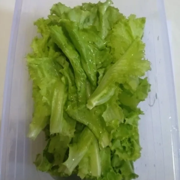 Kemudian masukkan selada yang sudah di cuci bersih ke dalam container.