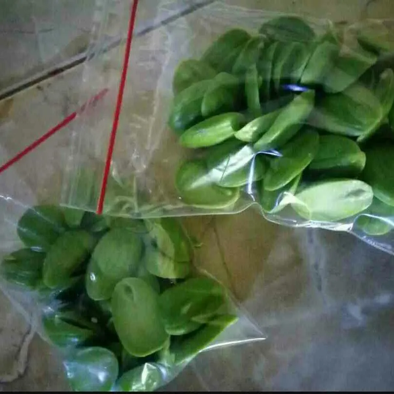 Tips Menyimpan Pete Agar Tahan Lama #TipsAndalan