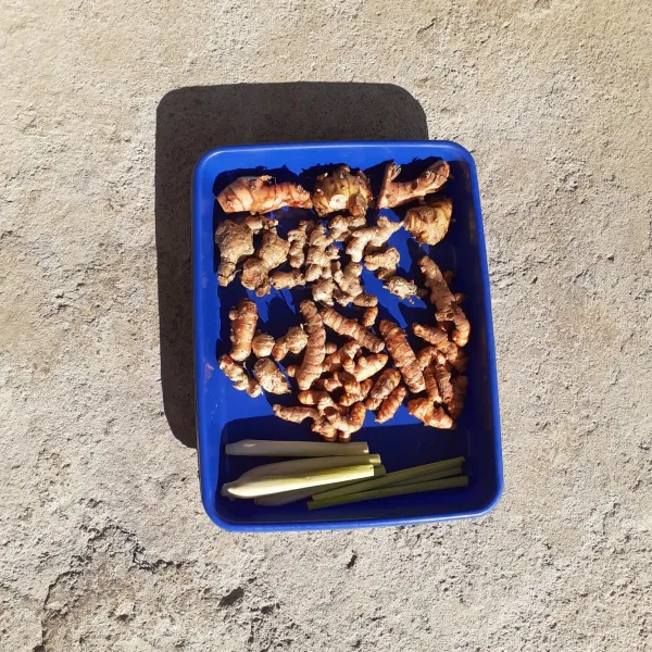 Jemur sampai kering.