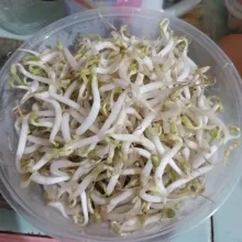 Siapkan taoge yang sudah dicuci bersih.