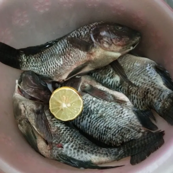 Bersihkan ikan, kucuri dengan perasan jeruk lemon, bilas kembali ikan dan tiriskan.