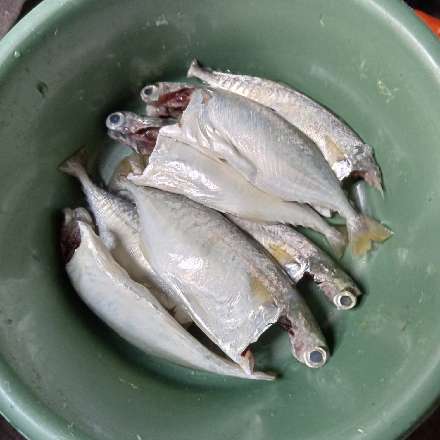 Langkah 1