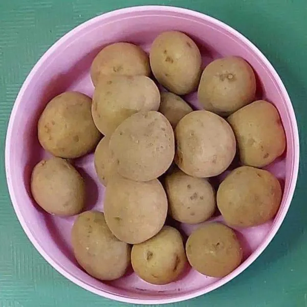 Siapkan kentang kecil (baby potato)