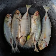 Bersihkan ikan selar lalu beri garam dan perasan jeruk nipis.