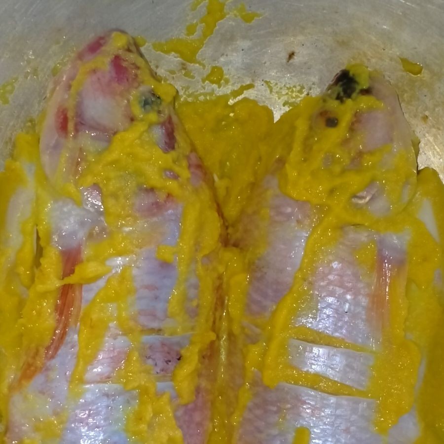 Langkah 4