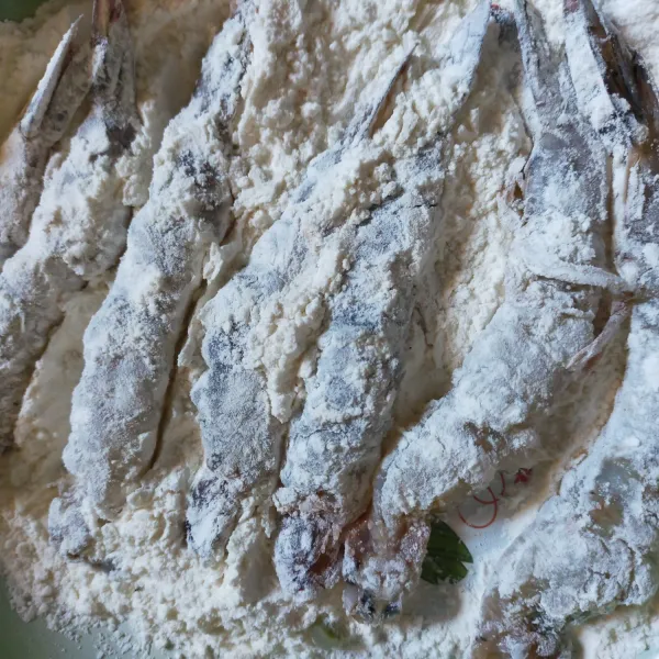 Taburi udang  dengan tepung terigu (2).
