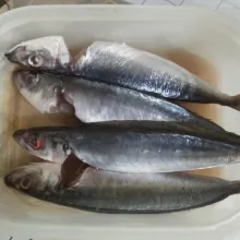 Bersihkan ikan, buang isi perutnya dan cuci bersih, kemudian beri air perasan jeruk nipis serta garam.