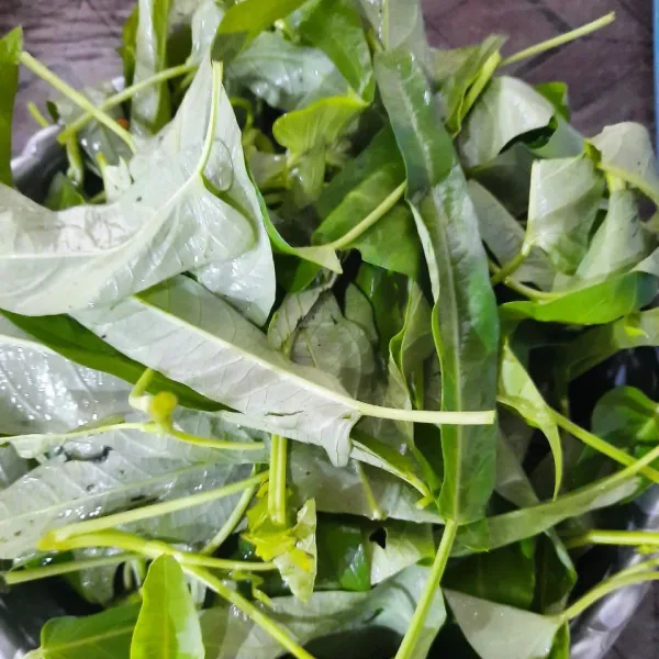 Bersihkan sayur kangkung.