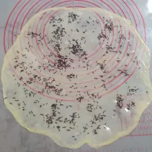 Ambil 1 adonan, tipiskan dengan rolling pin atau bisa seperti membuat martabak telur. Setelah ditipiskan tarik-tarik adonan hingga melebar. Olesi dengan margarin cair, lalu taburi dengan 1,5 sdm meses.