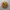 Original Crispy Choux