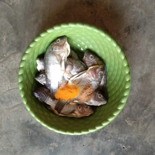 Baluri ikan mujaer yang telah dibersihkan dengan kunyit, garam, dan ketumbar bubuk. Beri sedikit air lalu aduk-aduk.