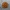 Potato Cheese Ball