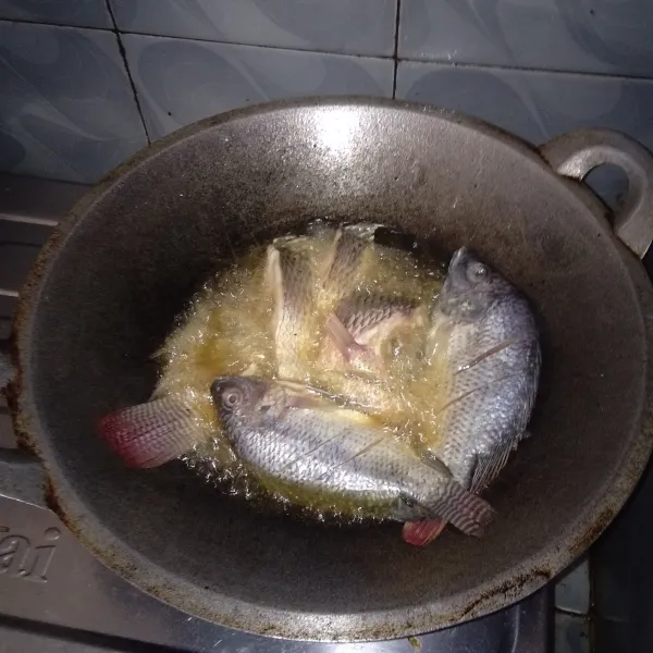 Goreng ikan mujaer sampai agak kering.