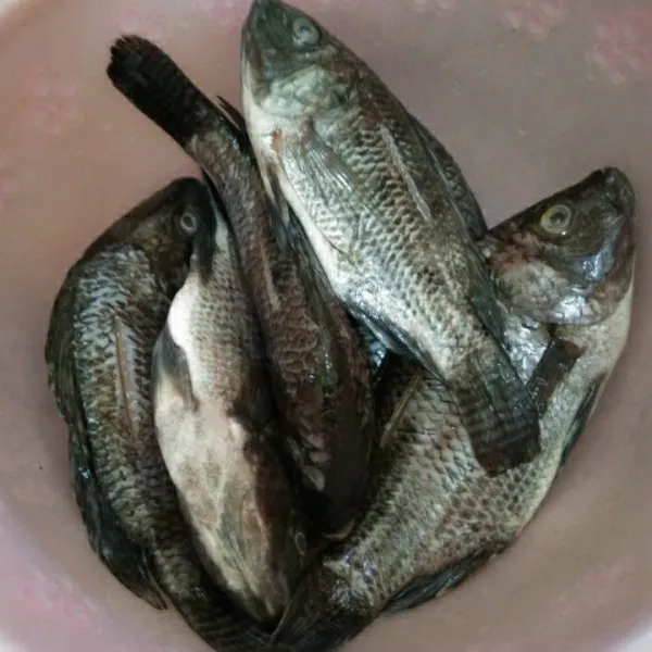 Cuci bersih ikan nila, tiriskan.