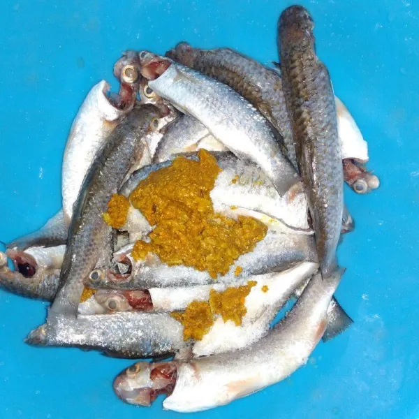 Masukkan bumbu halus, garam dan kaldu bubuk, lumuri ke ikan belanak sampai rata.