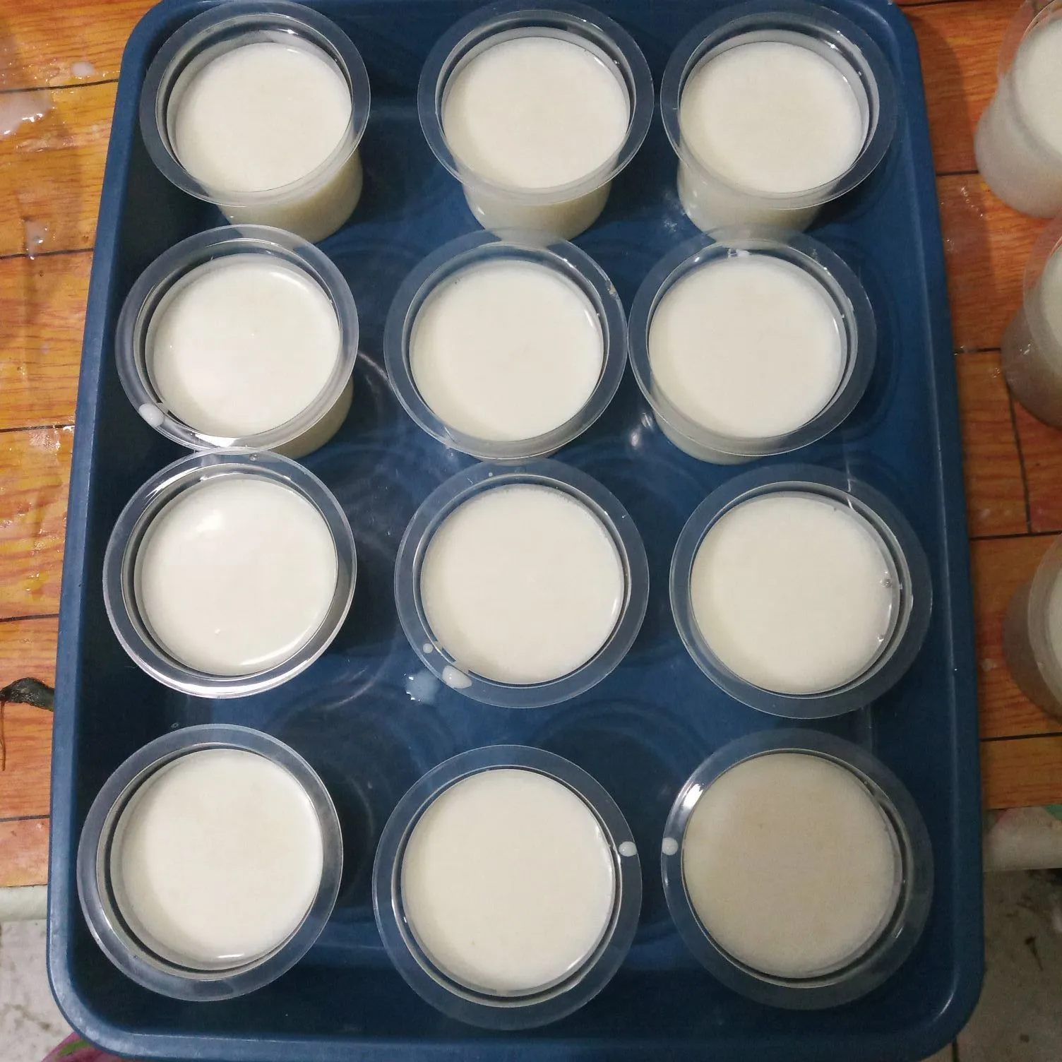 Step 4 Puding Susu Sirup Jeruk