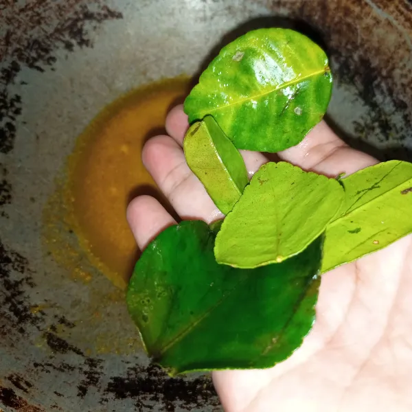 Tumis bumbu hingga harum menggunakan minyak secukupnya, kemudian masukkan daun jeruk. Aduk rata.