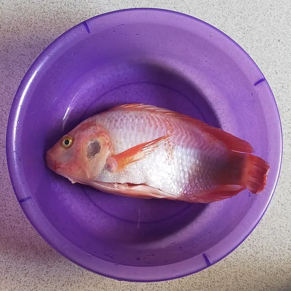 Bersihkan ikan dari kotoran pada isi perut dan sisiknya, lalu cuci bersih. Lumuri sedikit garam dan berikan air perasan jeruk nipis, diamkan selama 15 menit.