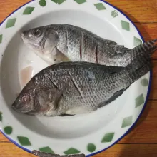 Bersihkan ikan, cuci lalu kerat-kerat. Lumuri dengan air jeruk nipis. Diamkan 10 menit. Bilas.