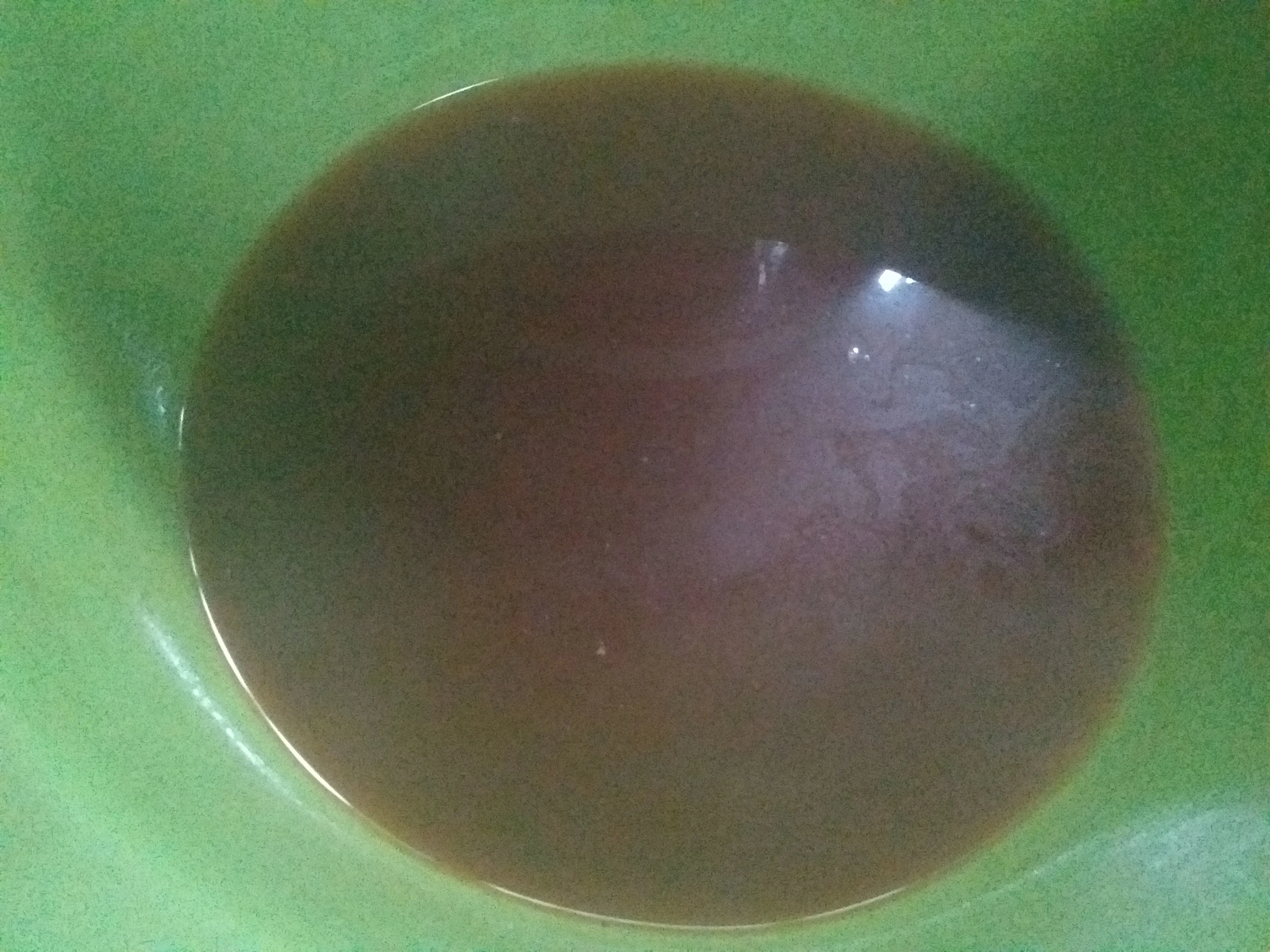 Step 2 PUDING LUMUT GULA JAWA